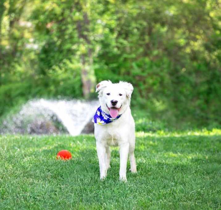 Photo of Harper