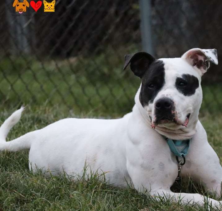 Photo of DOTTIE