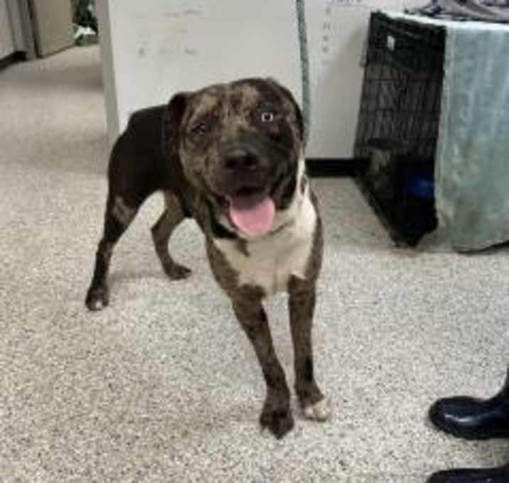 Photo of Tank