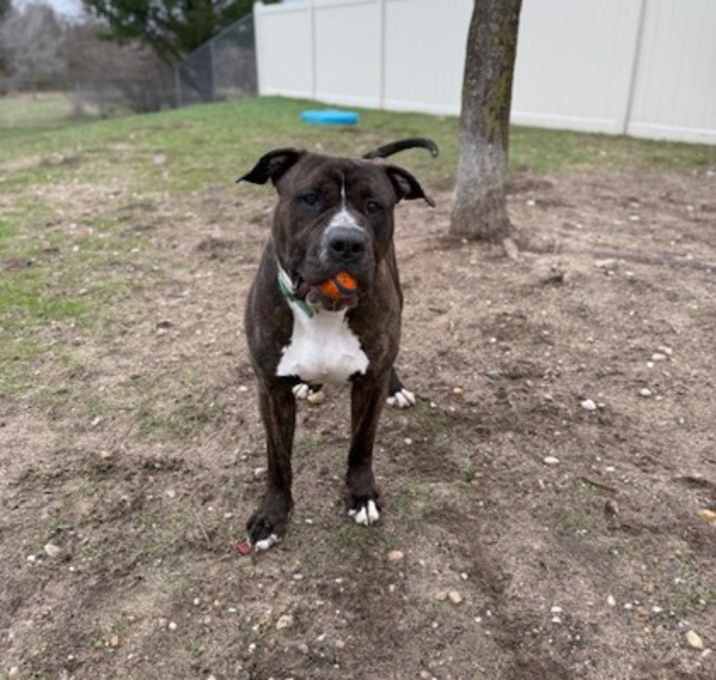 Photo of Mr. Pants