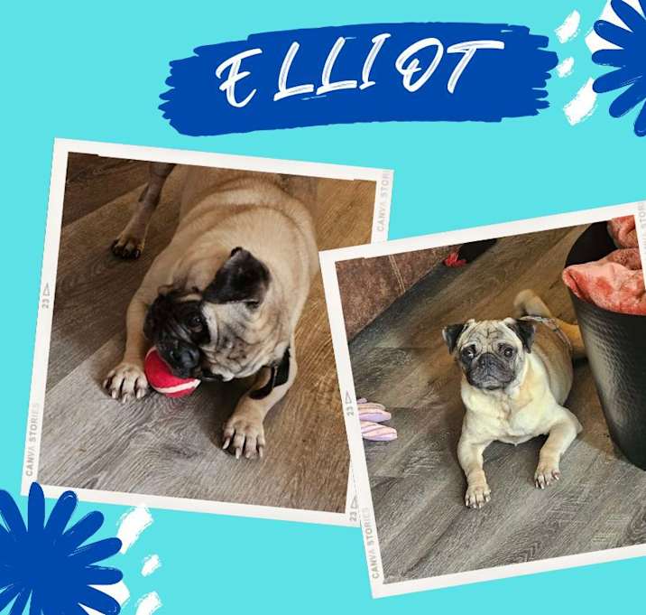 Photo of Elliot
