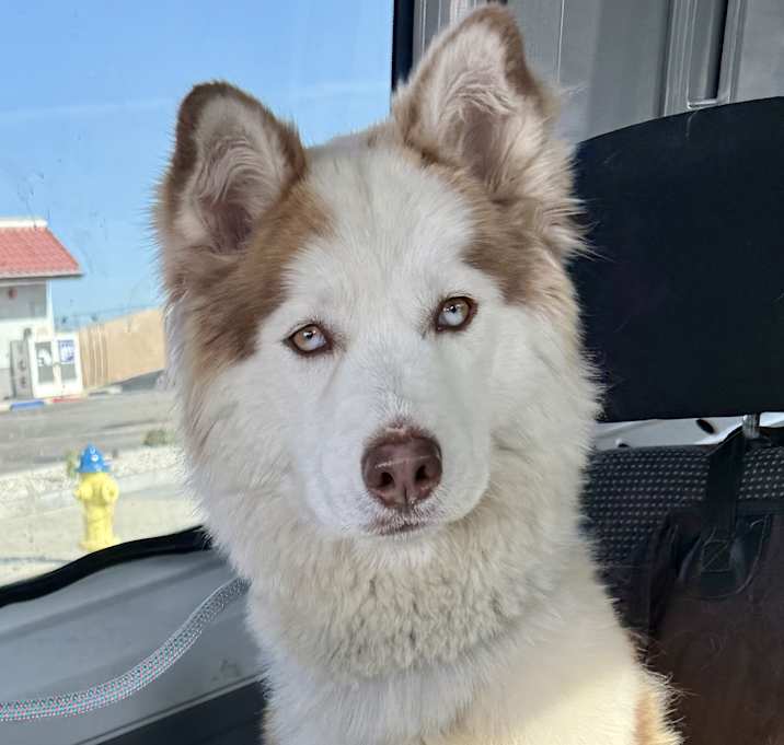 Photo of Leika