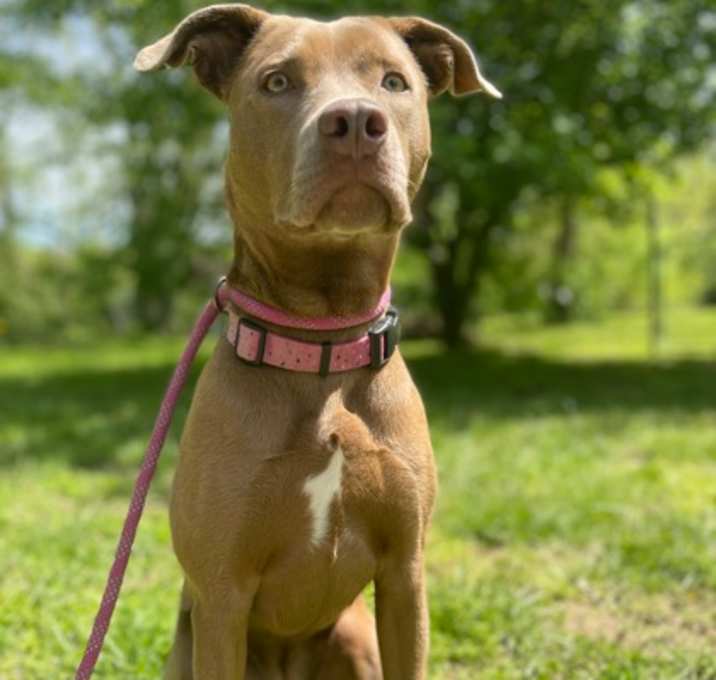 Photo of Bella