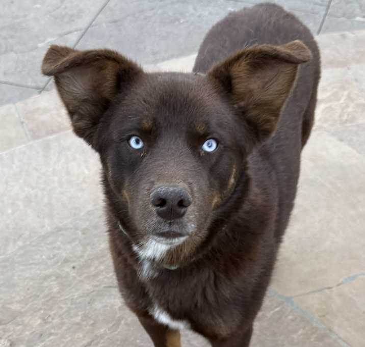 Photo of Hershey