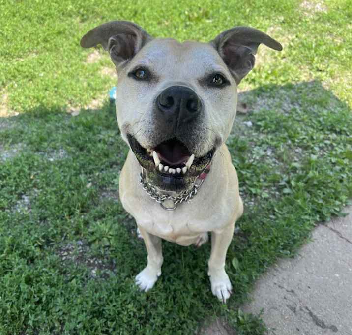 Photo of Athena