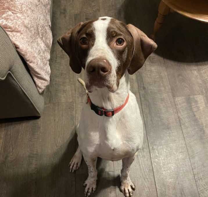 Photo of Kingston