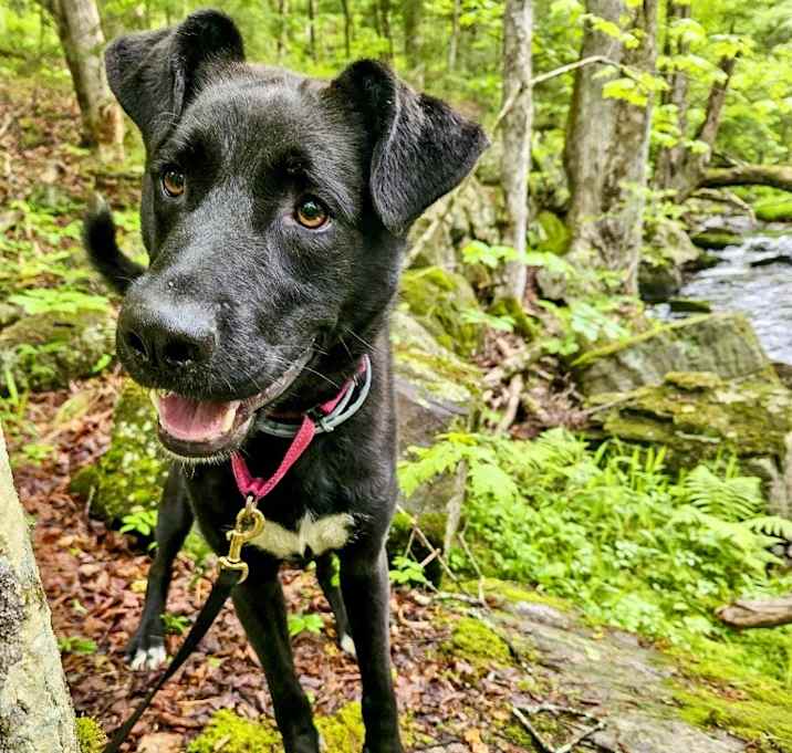 Photo of Jasper
