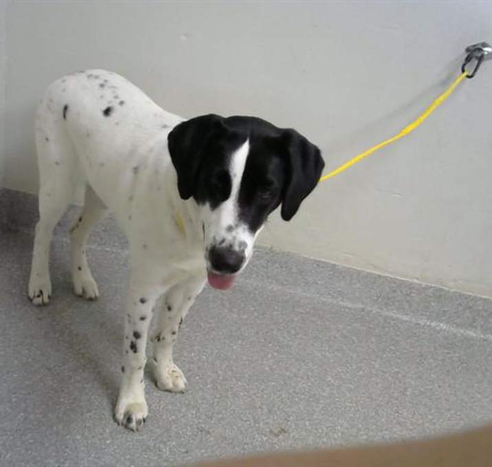 Photo of ROXY