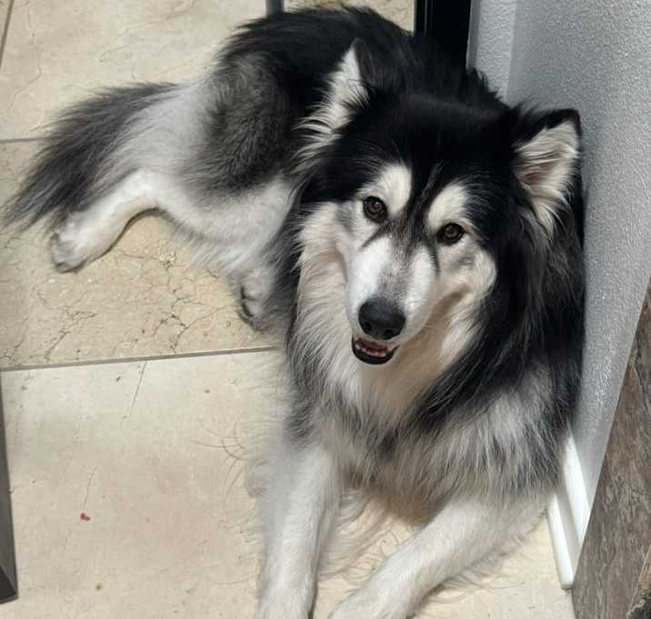 Photo of Neo