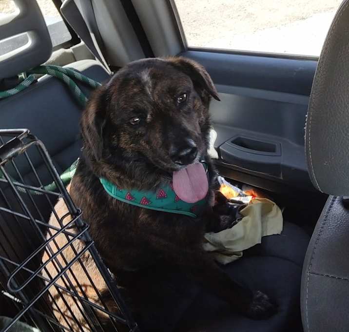 Photo of Zeke