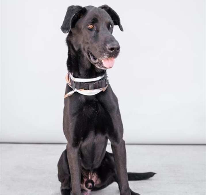 Photo of MAX