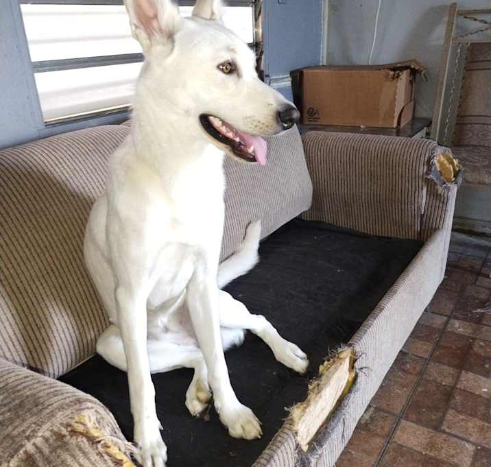 Photo of Maggie