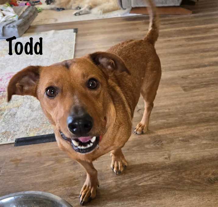 Photo of Todd