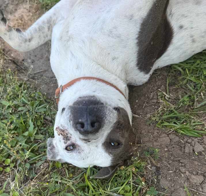 Photo of Bubbles