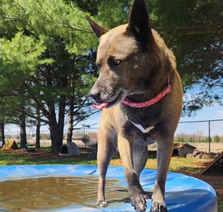 Photo of Sadie