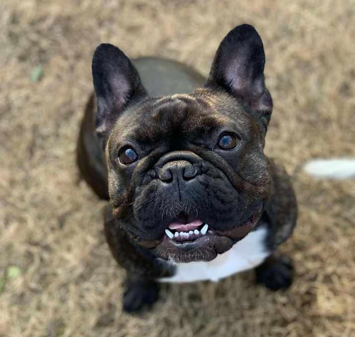 Photo of Phoebe