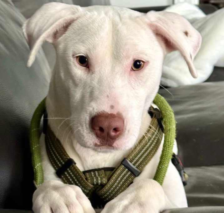 Photo of SAGE