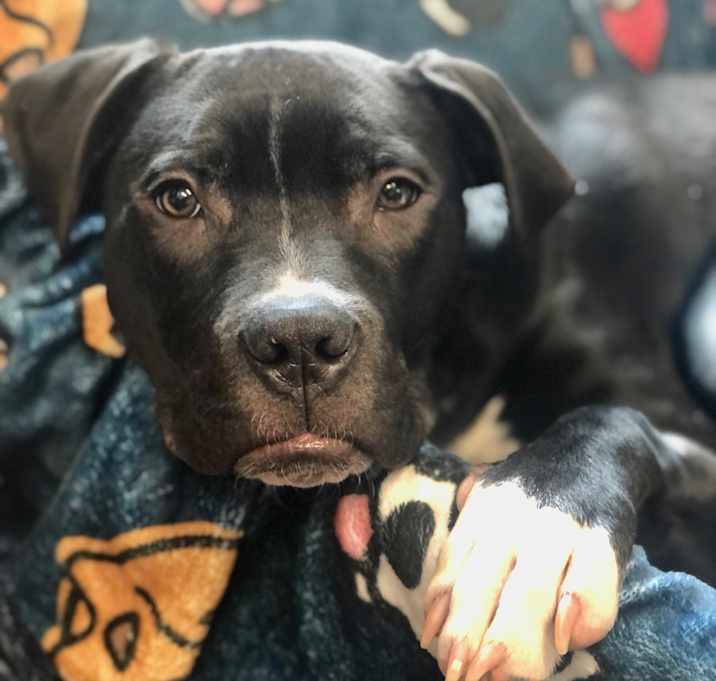 Photo of Murphy
