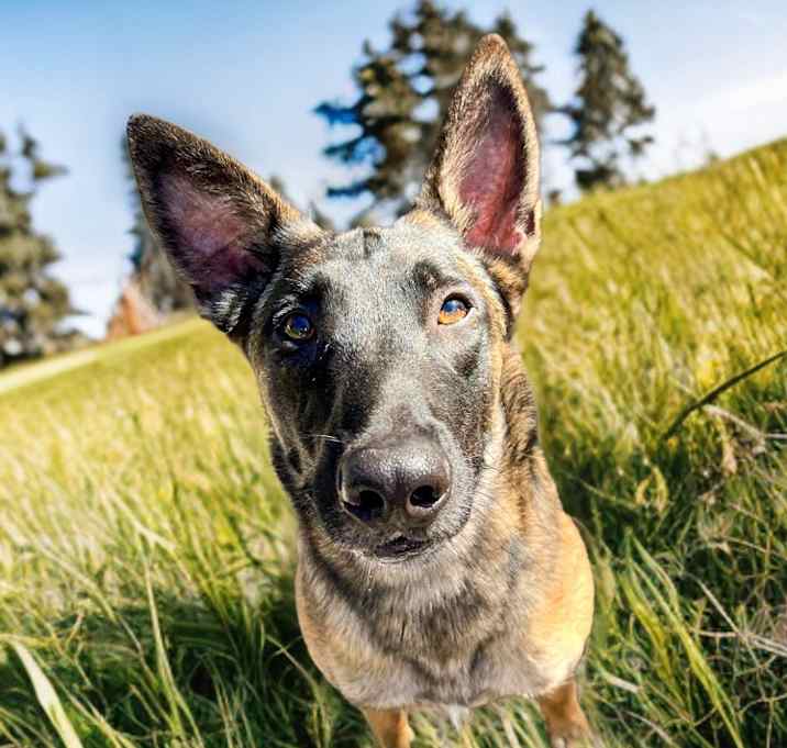 Photo of Duke