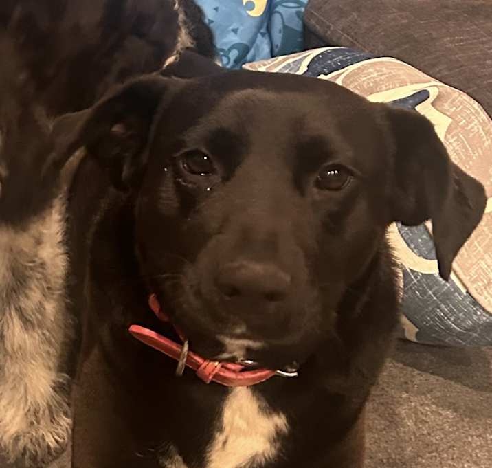Photo of Betty