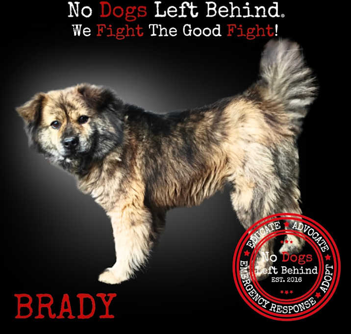 Photo of Brady 7711