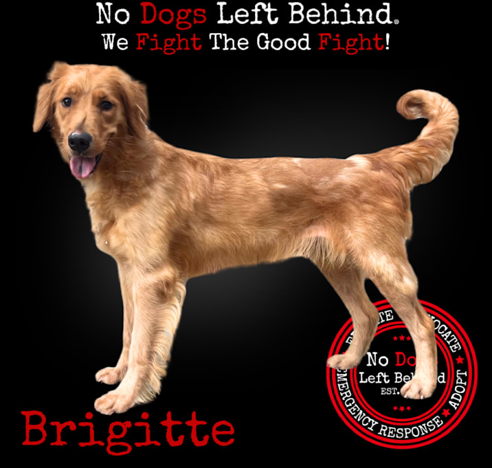 Photo of Brigitte 3965