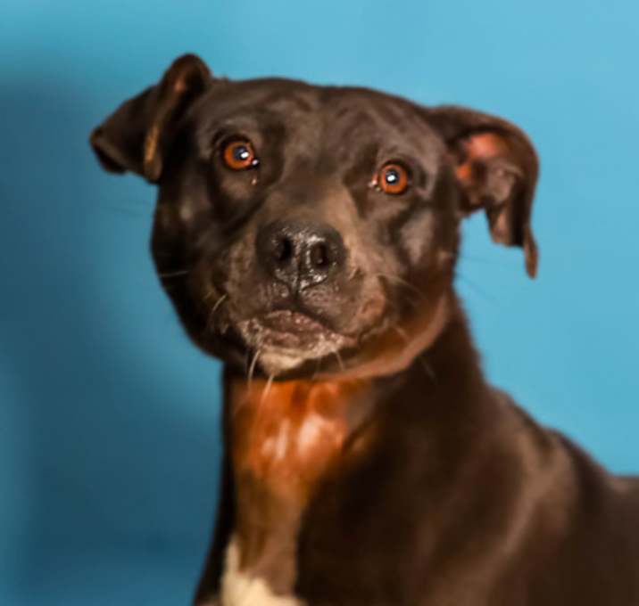Photo of Duncan*