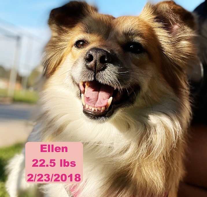 Photo of Ellen