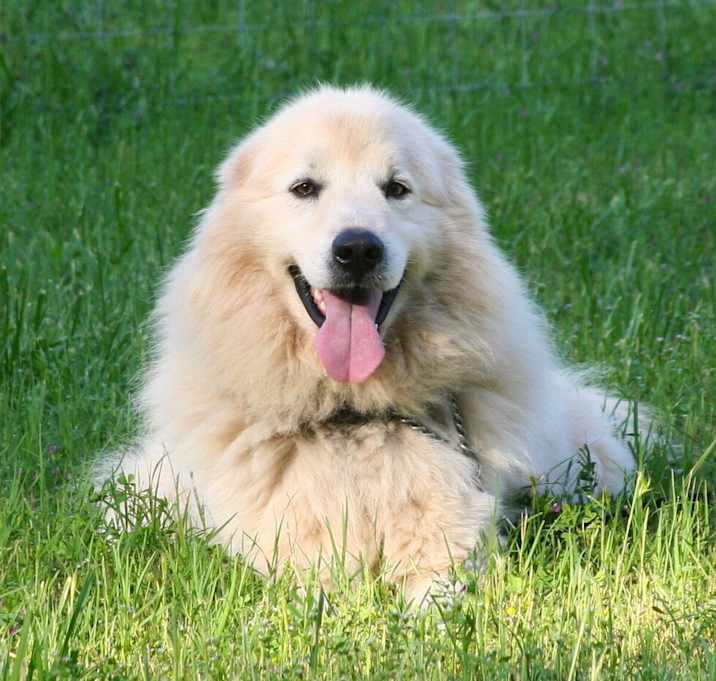 Photo of Hutch