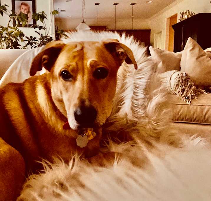 Photo of Chloe