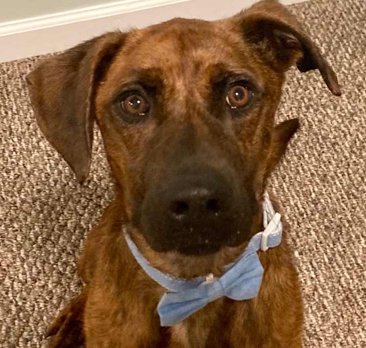 Photo of Jaxson