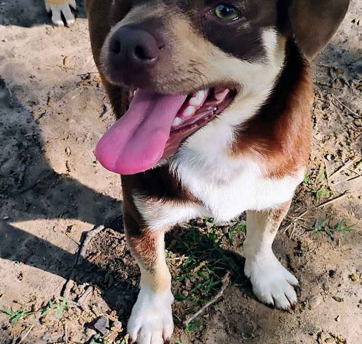 Photo of CARTER