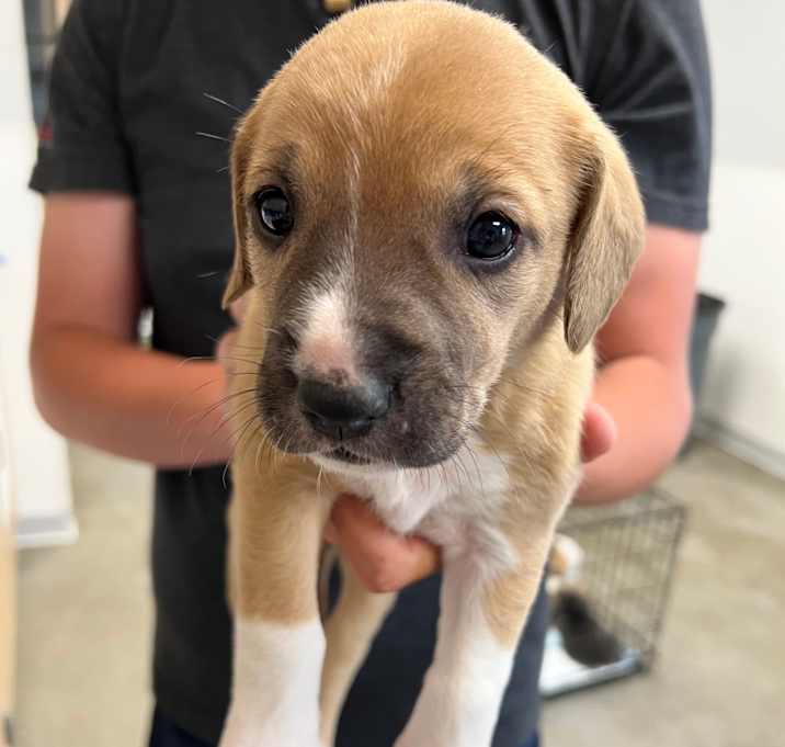 Photo of Sasha