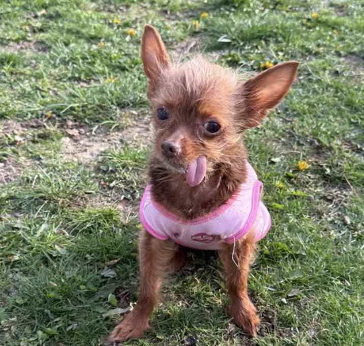 Photo of Olivia