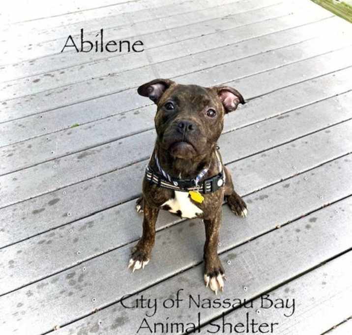 Photo of C22-25 Abilene