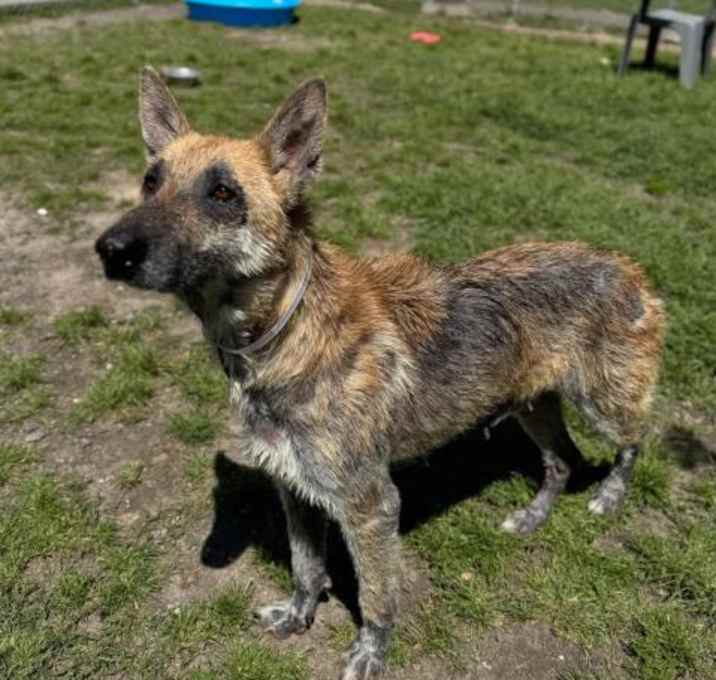 Photo of NADIA