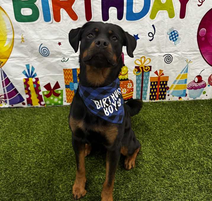 Photo of Ralphie