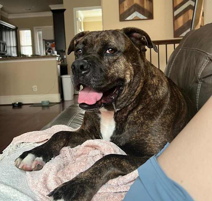 Photo of Kiki