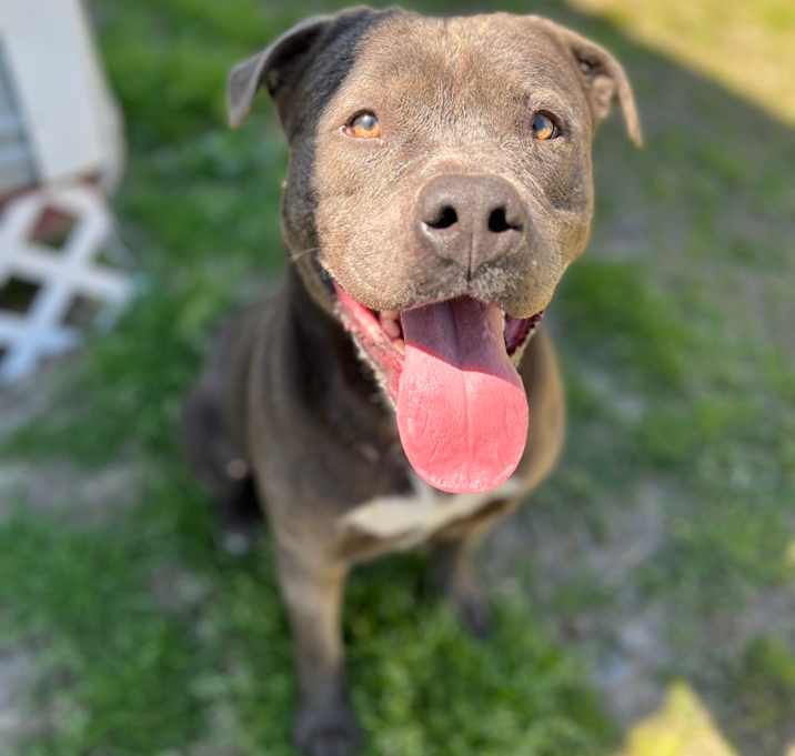 Photo of Jax
