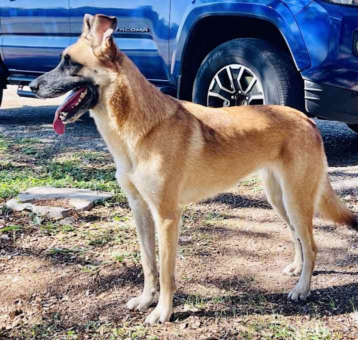 Photo of Sadie