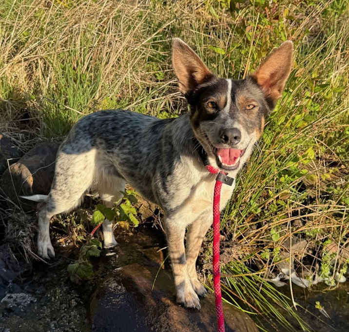 Photo of Missy