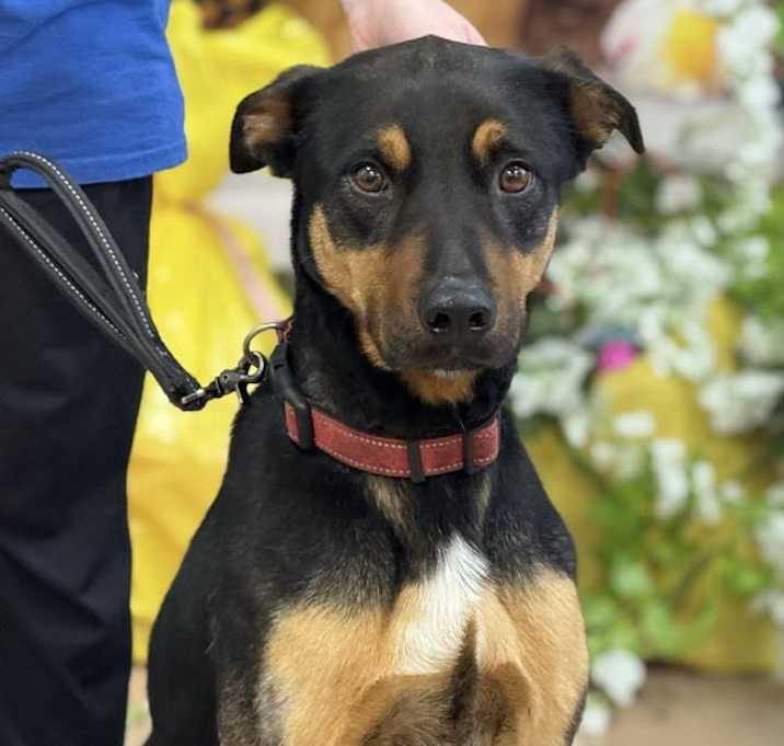Photo of Duke