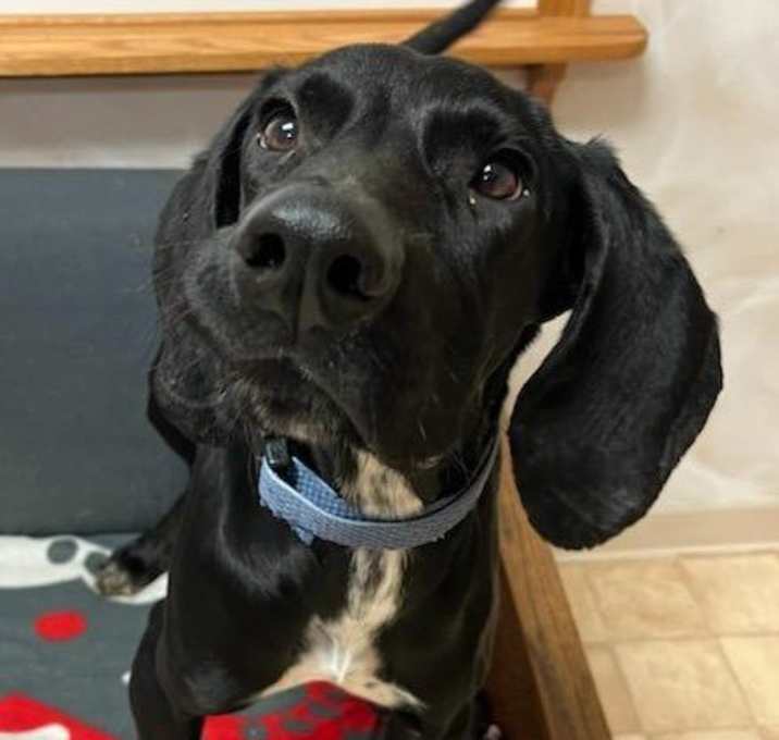 Photo of Monty