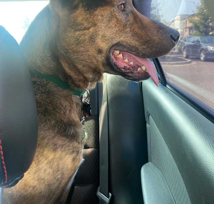 Photo of Apollo