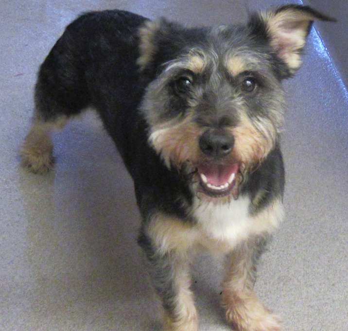 Photo of Flynn