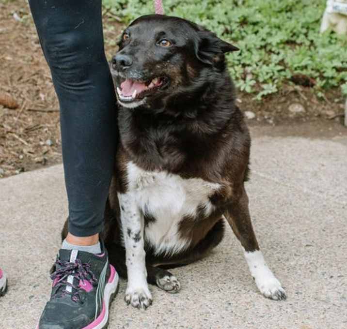 Photo of Tilly