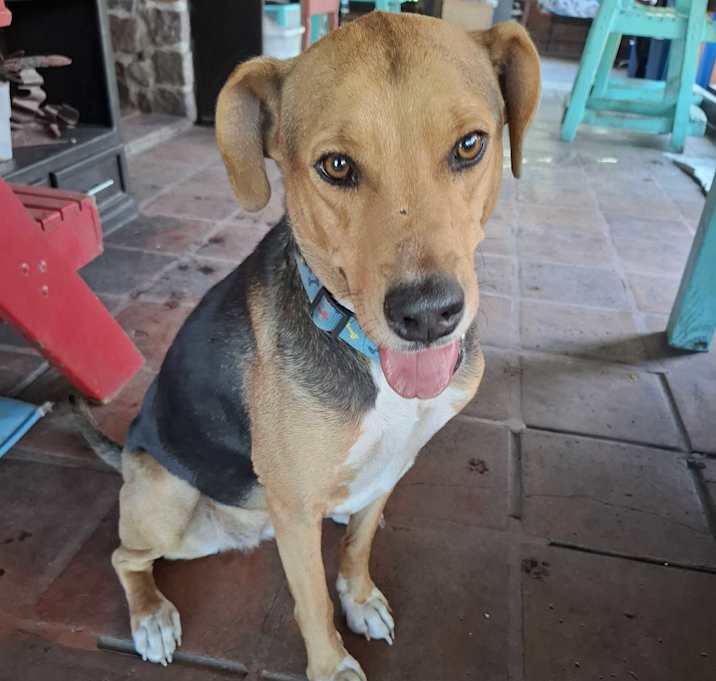 Photo of Gabby