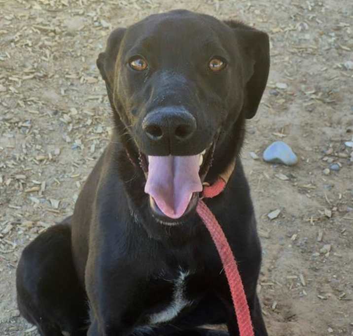 Photo of BELLA