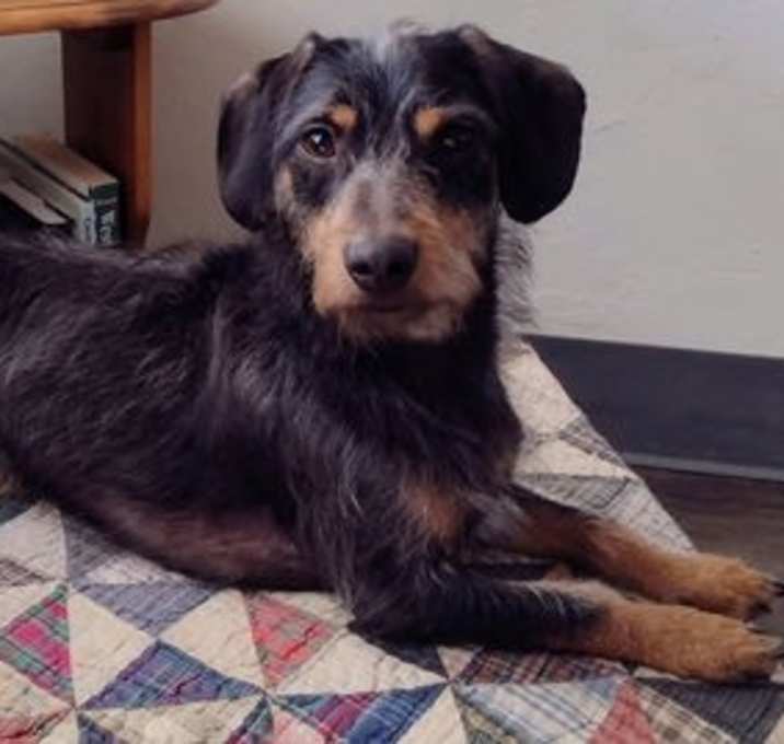 Photo of Seymour