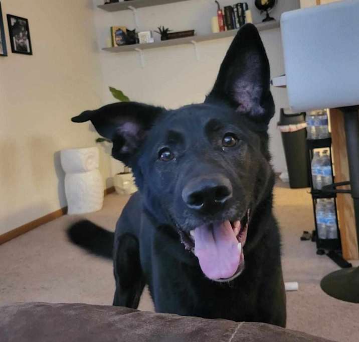 Photo of Sirius